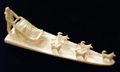 SKU P0000140