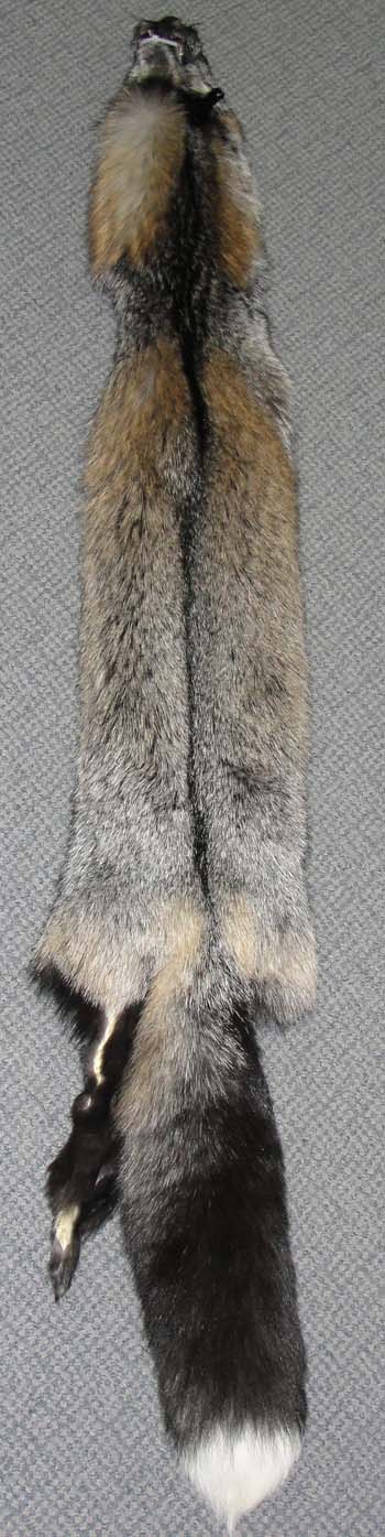 Cross fox pelt, fox pelt, fox pelts, fox fur, real fur, gold cross fox