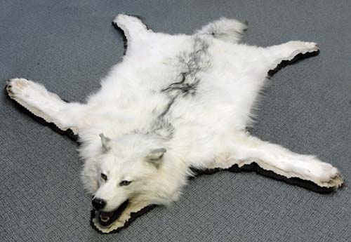 Rugounts, How To Skin A Wolf For Rug